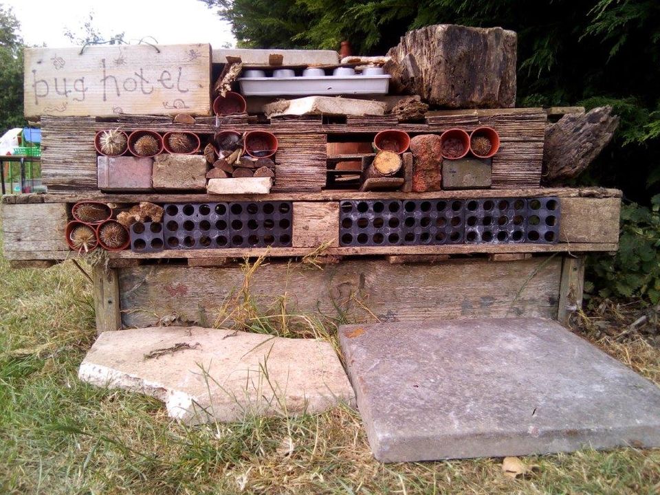 Something is bugging me...